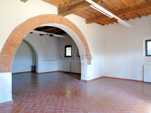 negozio in affitto a Collesalvetti