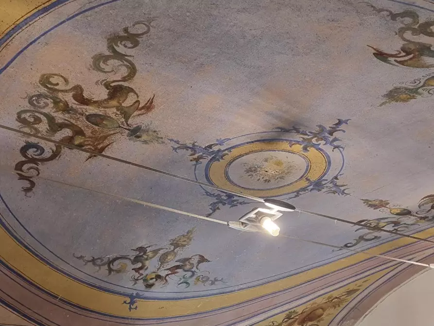 locale commerciale in affitto a Collesalvetti