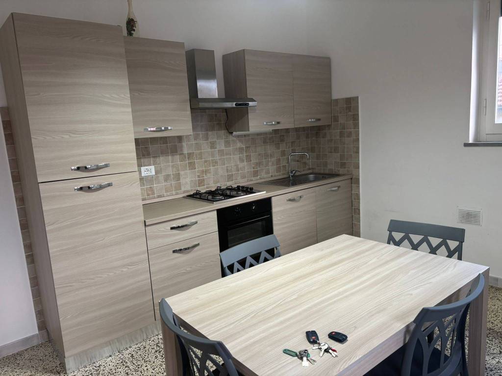 casa indipendente in affitto a Collesalvetti