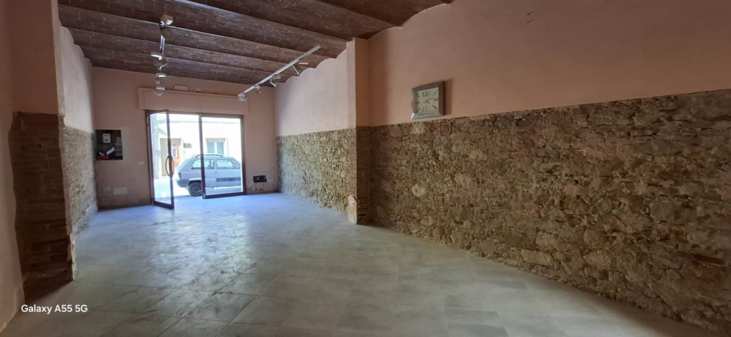 locale commerciale in affitto a Collesalvetti