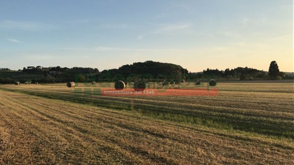 appartamento in affitto a Collesalvetti in zona Guasticce