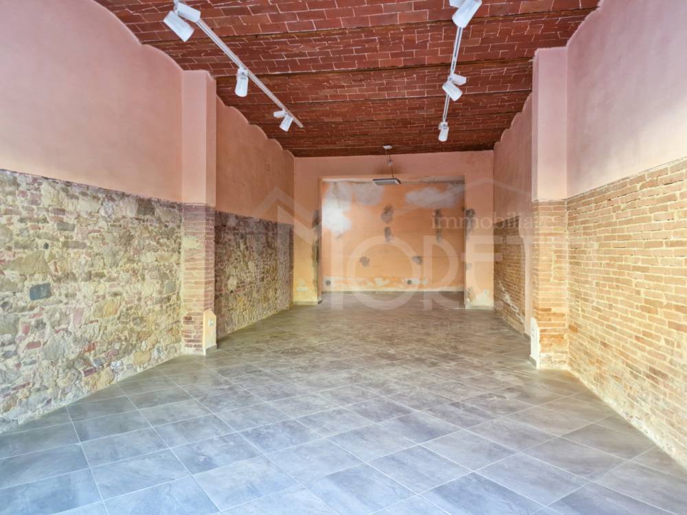 loft in affitto a Collesalvetti