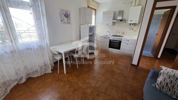 appartamento in affitto a Collesalvetti