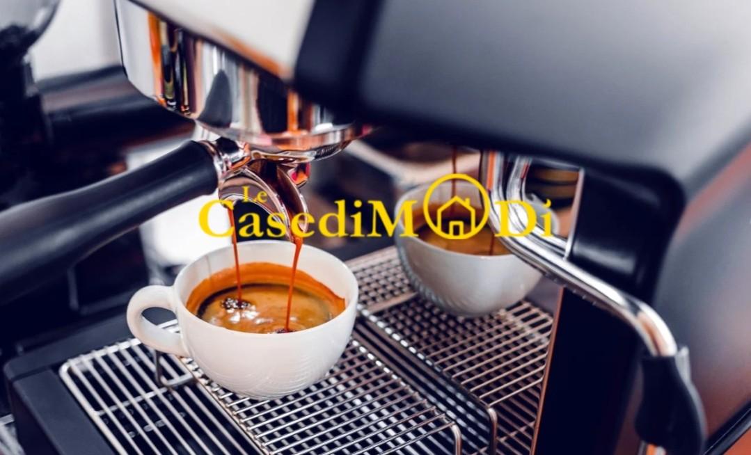 negozio in affitto a Collesalvetti