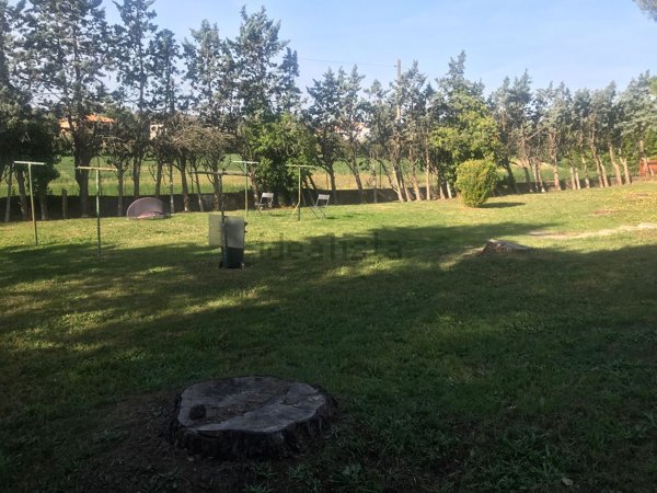 appartamento in affitto a Collesalvetti