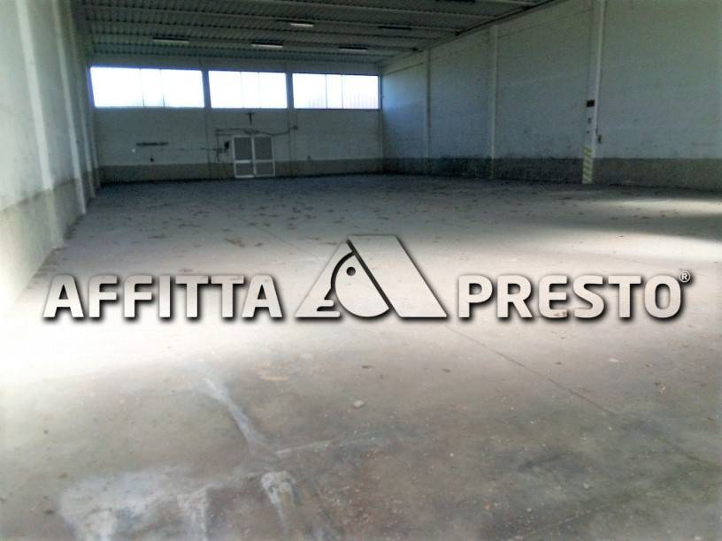 capannone in affitto a Collesalvetti