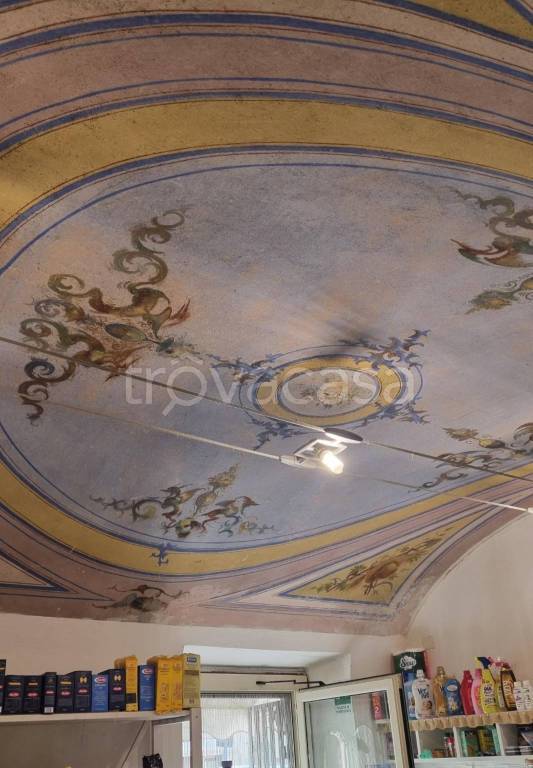 negozio in affitto a Collesalvetti