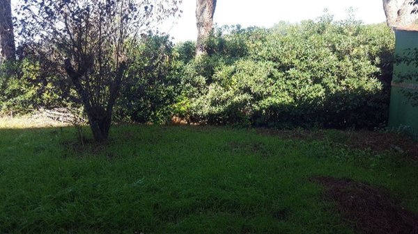 appartamento in affitto a Collesalvetti