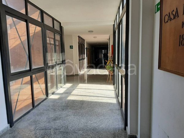 appartamento in affitto a Collesalvetti