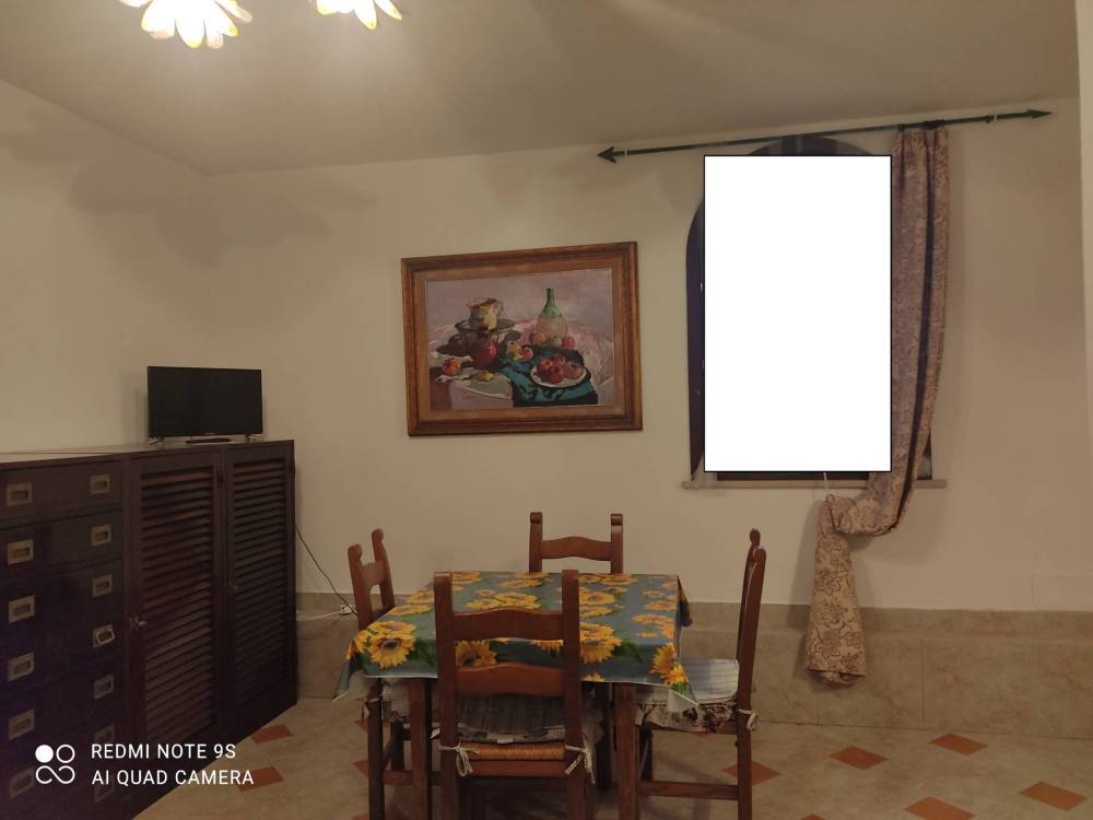 appartamento in affitto a Collesalvetti