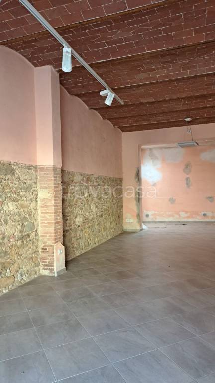 negozio in affitto a Collesalvetti