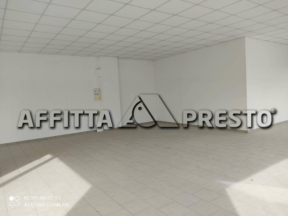 locale commerciale in affitto a Collesalvetti