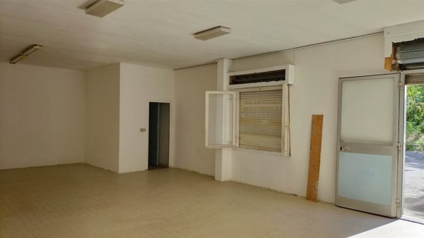 locale commerciale in affitto a Collesalvetti in zona Stagno