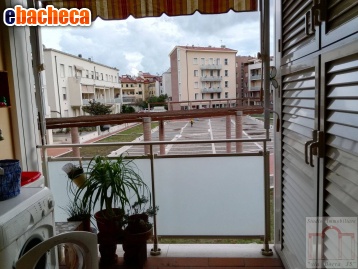 appartamento in affitto a Livorno