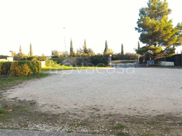 quadrivano in affitto a Livorno in zona Ardenza