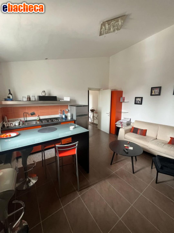 appartamento in affitto a Livorno