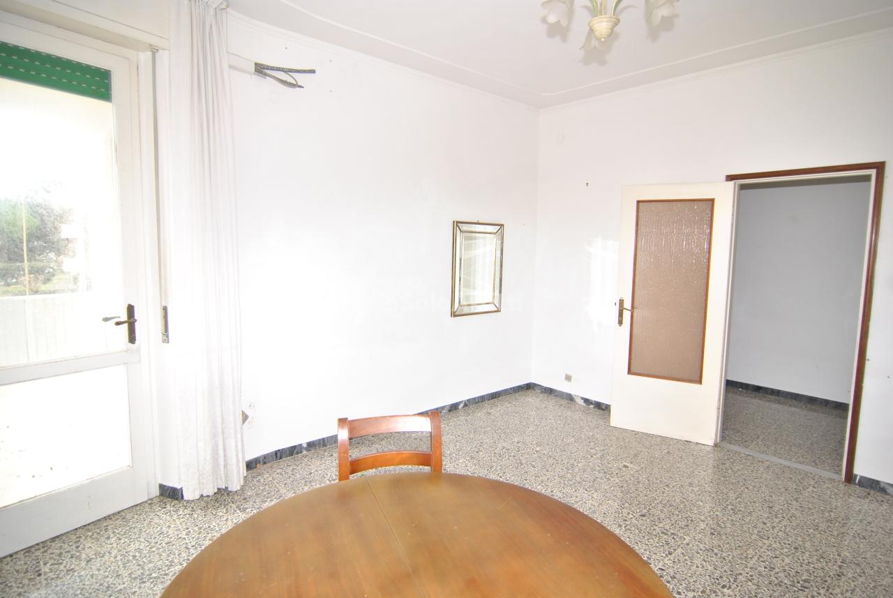 appartamento in affitto a Livorno