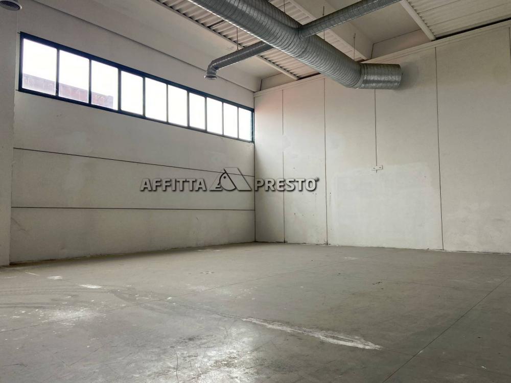 capannone in affitto a Livorno
