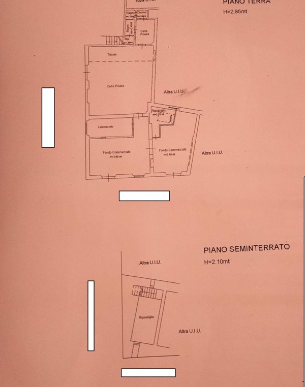 trivano in affitto a Livorno in zona Ardenza
