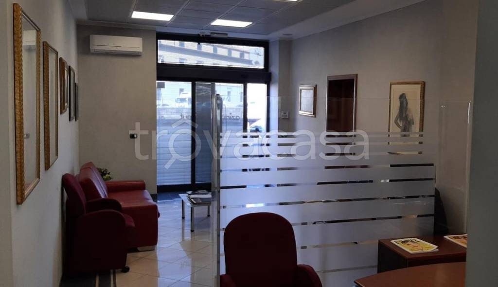 quadrivano in affitto a Livorno