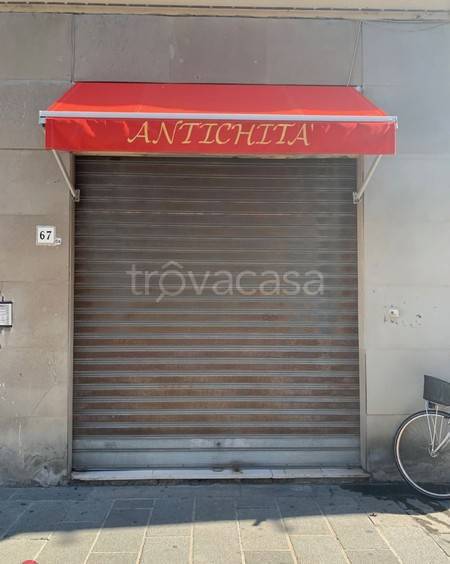 trivano in affitto a Livorno