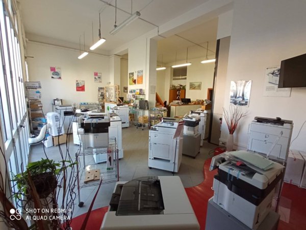 trivano in affitto a Livorno