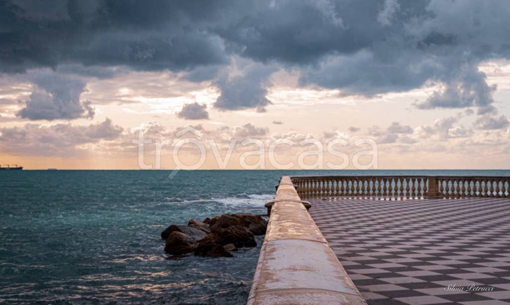appartamento in affitto a Livorno