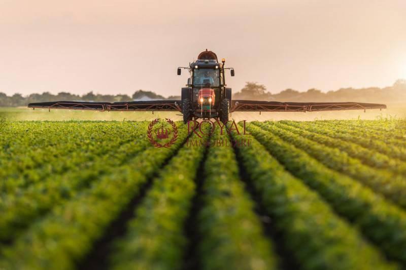 terreno agricolo in affitto a Livorno in zona Stillo