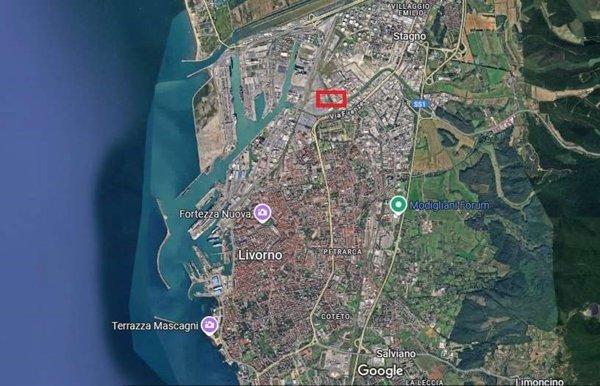negozio in affitto a Livorno