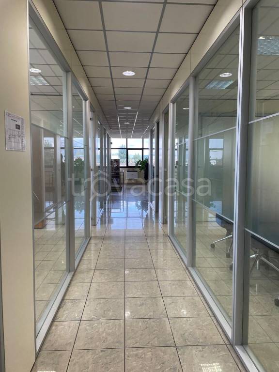 appartamento in affitto a Livorno