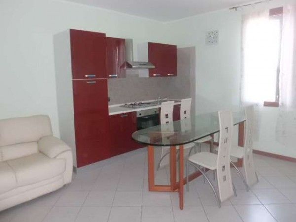 appartamento in affitto a Livorno