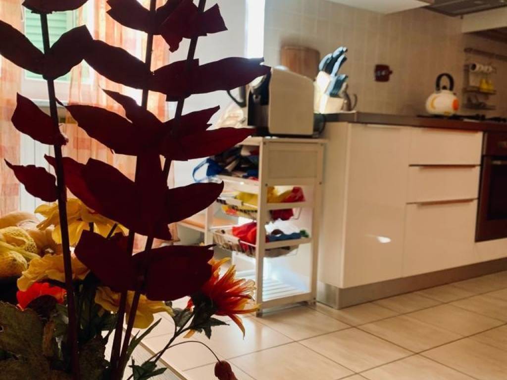 appartamento in affitto a Livorno in zona Centro Città