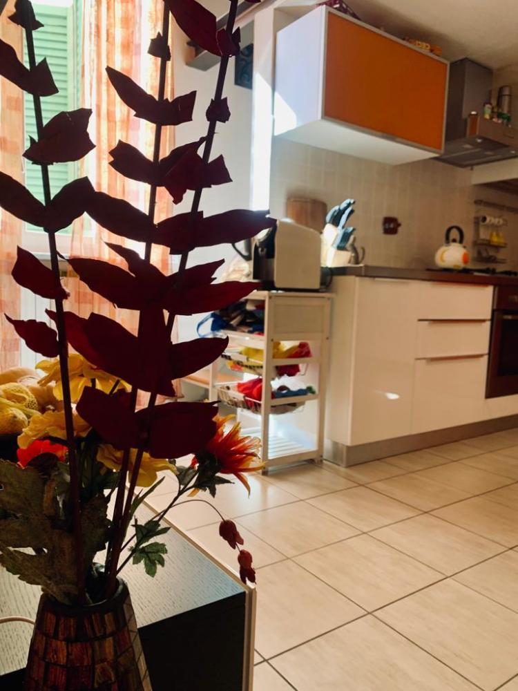 appartamento in affitto a Livorno in zona Centro Città