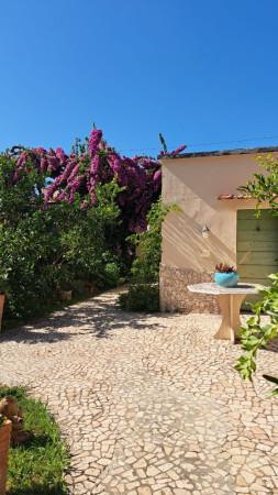 appartamento in affitto a Livorno in zona Limoncino