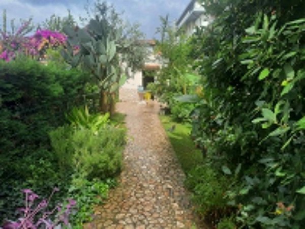 appartamento in affitto a Livorno