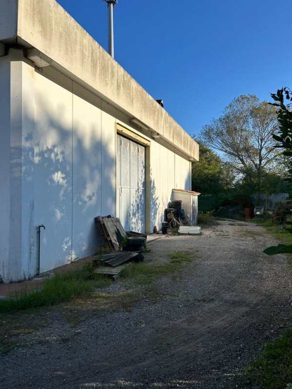 capannone in affitto a Livorno