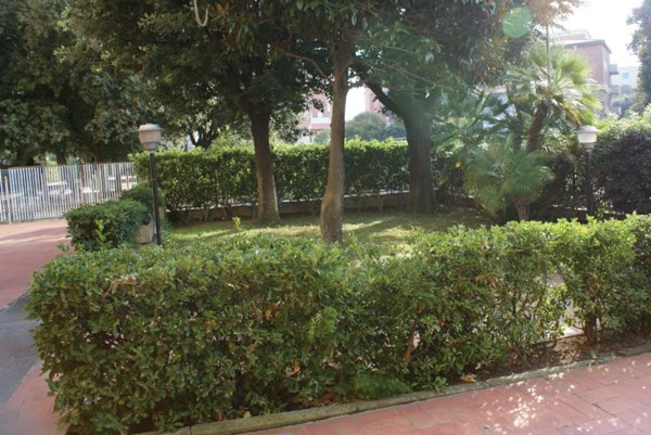 appartamento in affitto a Livorno in zona Centro Città