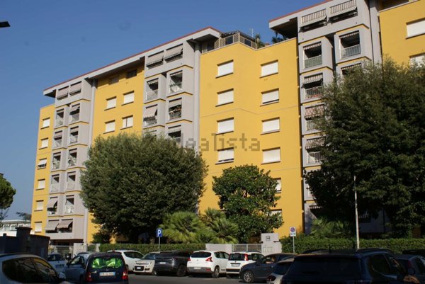 appartamento in affitto a Livorno