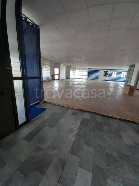 appartamento in affitto a Livorno