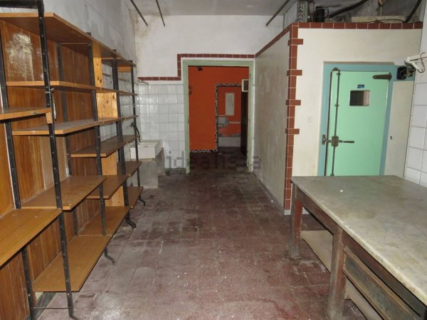 trivano in affitto a Livorno