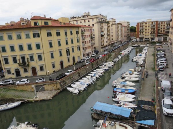 appartamento in affitto a Livorno