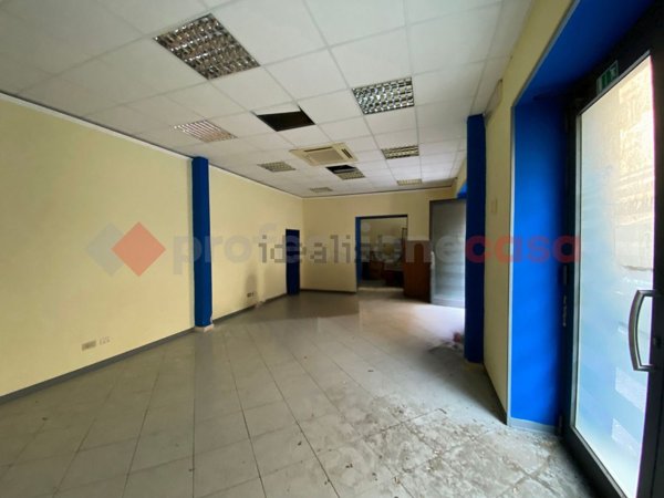 trivano in affitto a Livorno