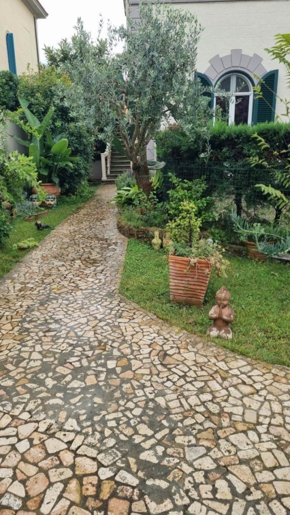 appartamento in affitto a Livorno