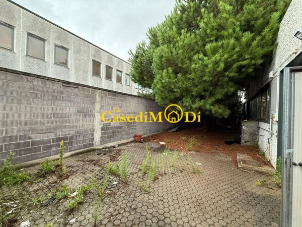 capannone in affitto a Livorno