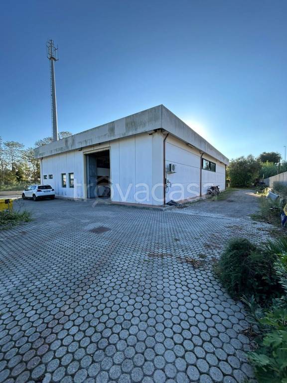 locale commerciale in affitto a Livorno