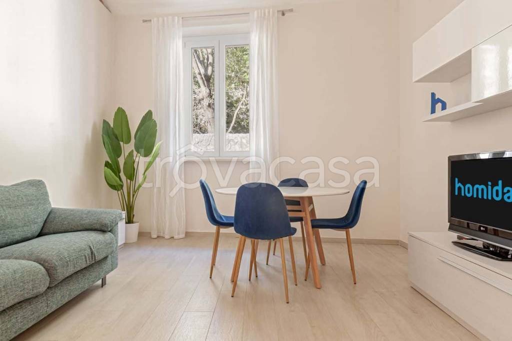 appartamento in affitto a Livorno