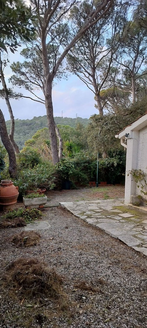 casa indipendente in affitto a Livorno