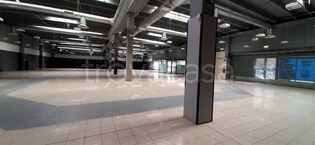 negozio in affitto a Livorno in zona Padula