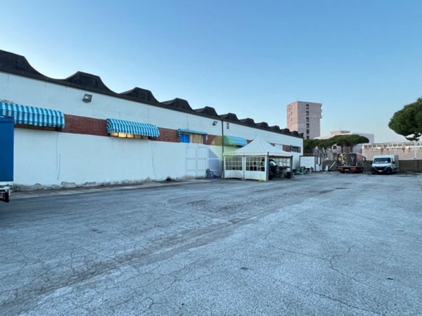 negozio in affitto a Livorno