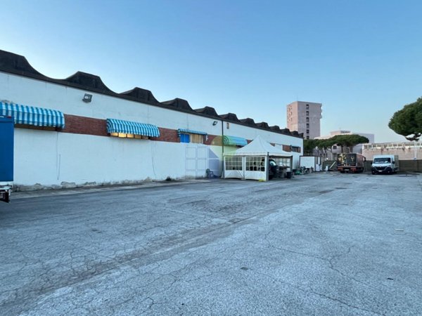 appartamento in affitto a Livorno